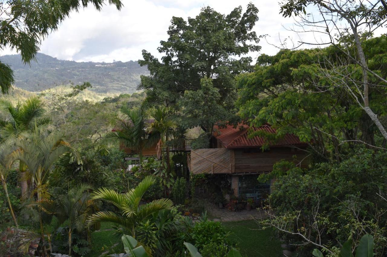 Chalets Huitaca Choachí Exterior foto